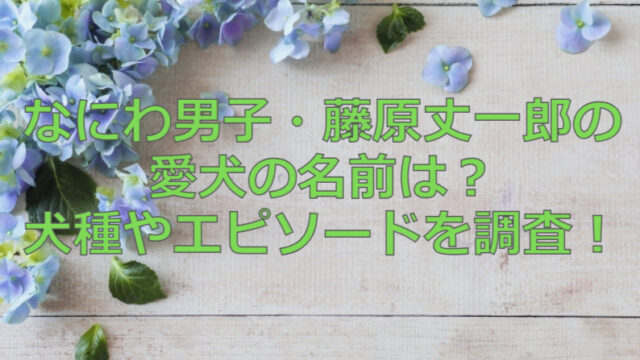 なにわ男子・藤原丈一郎の愛犬の名前は？犬種やエピソードを調査！