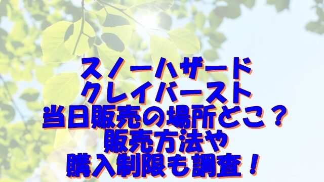 スノーハザードクレイバースト当日販売の場所どこ？販売方法や購入制限も調査！