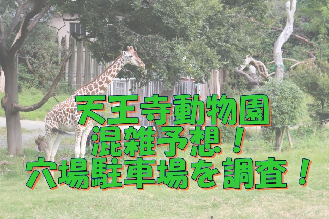 天王寺動物園2023混雑予想！穴場駐車場を調査！