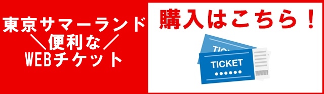 購入ボタン01