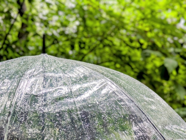 6mmの雨の日、どう過ごす？傘・服装・洗濯・外出のリアル体感ガイド