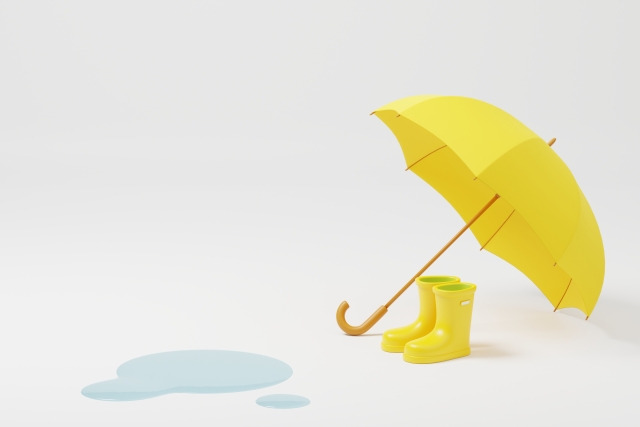 雨傘
